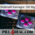 Sildénafil Kamagra 100 Mg 01
